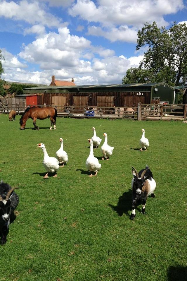 ON A FARM - Skipbridge Country Weddings