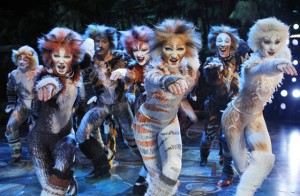 CATS_cast2