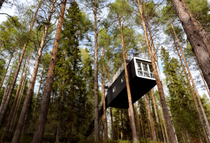 treehotel3