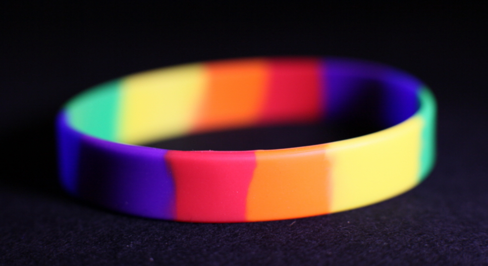 201101Rainbow-Delegation