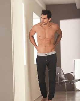 Gandy