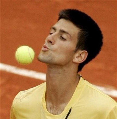 novak 6