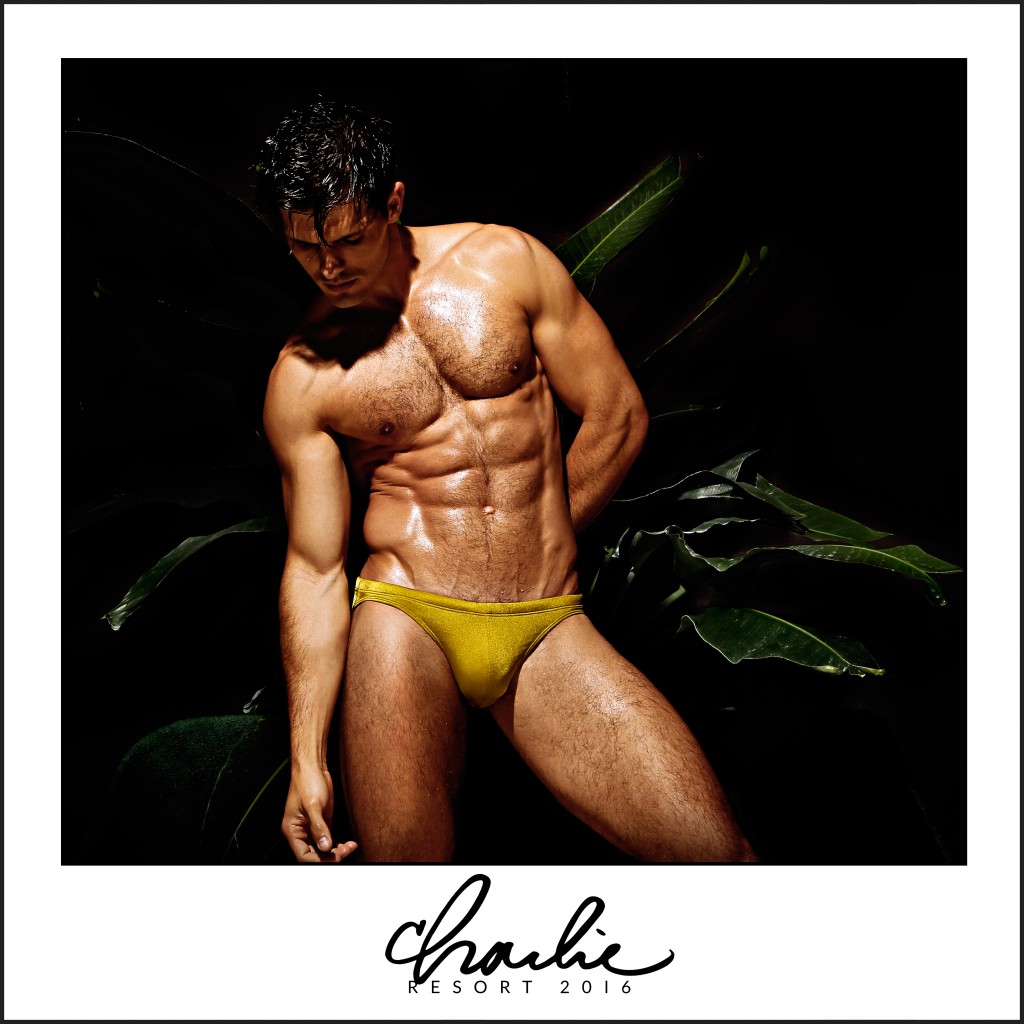 Charlie By MZ - BANANA LEAF 01