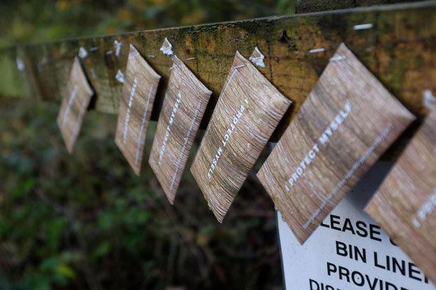 condoms in woods