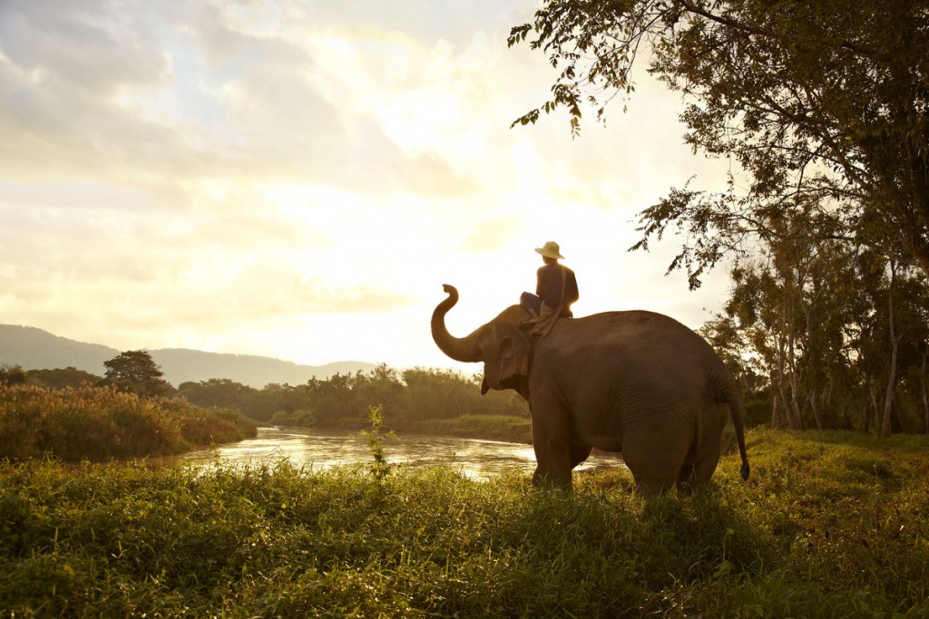 For a spot of luxury Bangkok, Chiang Mai and Chiang Rai Explorer