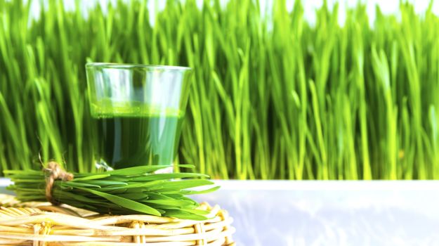 4-wheatgrass-625_625x350_81444376743