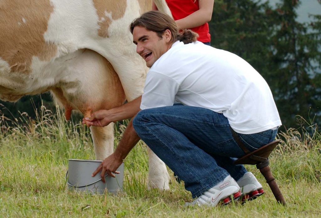 Roger Federer melkt seine Kuh Juliette (Andy Mueller/ALLIANZ SUISSE OPEN GSTAAD)