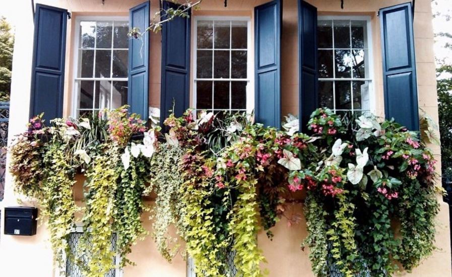 window-box