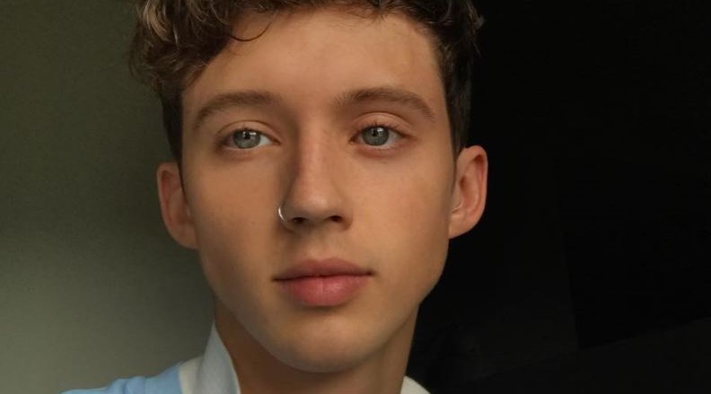 7. "Blonde Hair on Boy" by Troye Sivan - wide 6