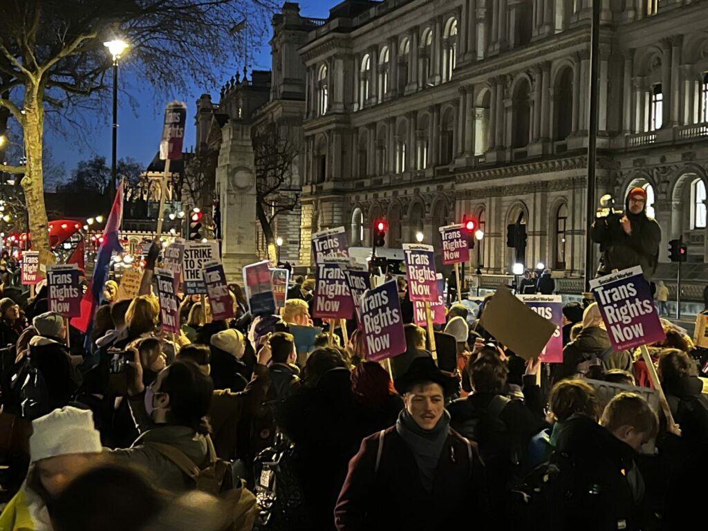 Crowds gather at London Trans Pride protest