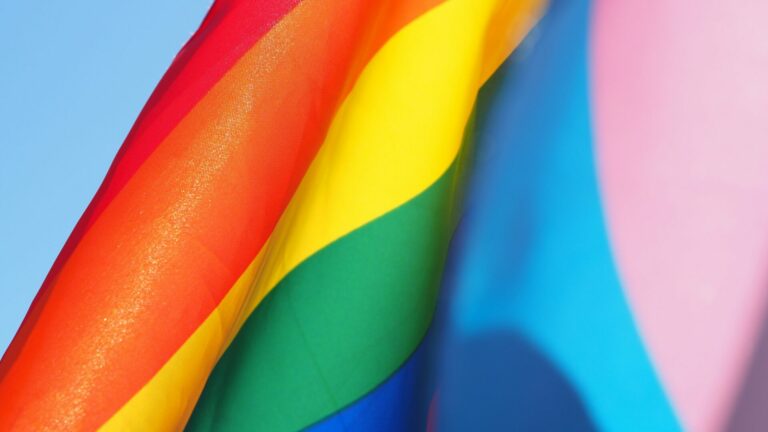 Pride and Trans flags