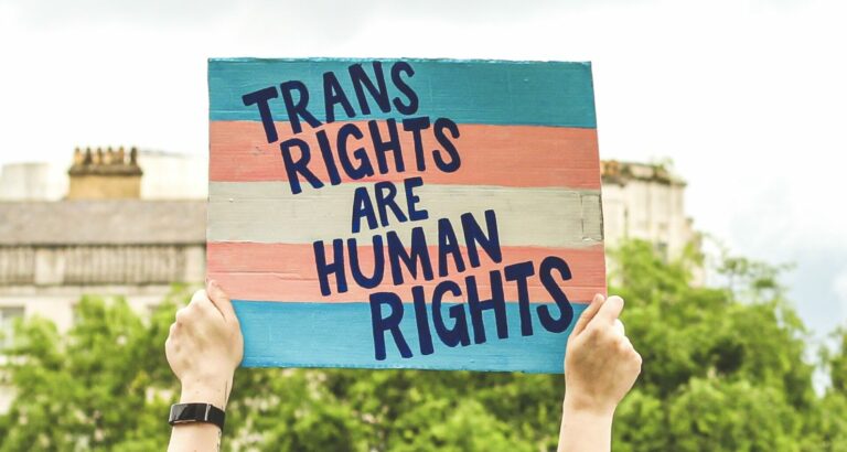 trans rights are human rights sign