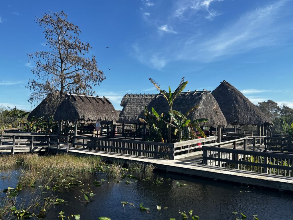A small island of huts in the Everglades