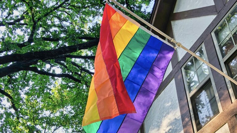 Woman sets gay pride flag alight in Manhattan (Image: WikiCommons)