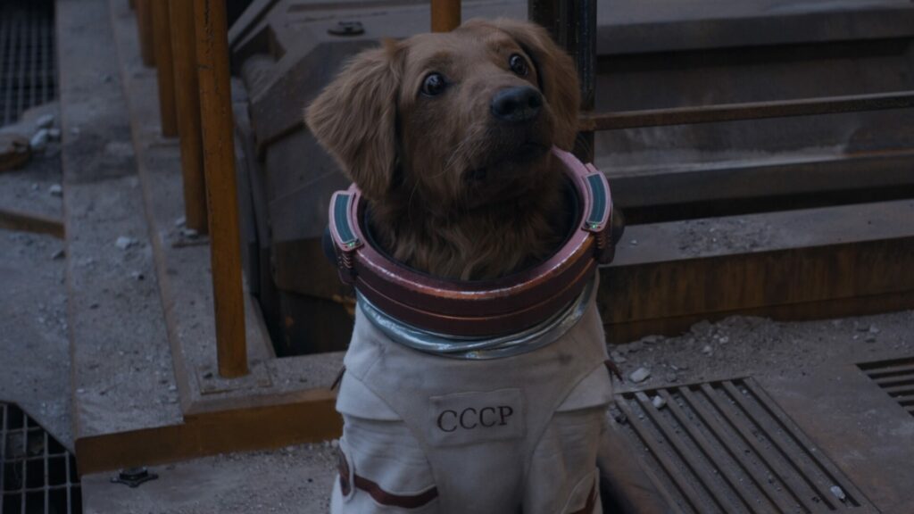 Cosmo the spacedog voiced by Maria Bakalova in Guardians of the Galaxy Vol. 3