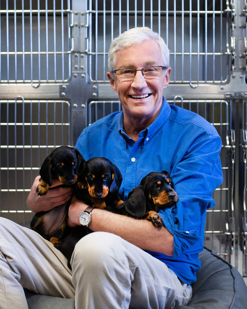 Paul O'Grady filming For The Love of Dogs