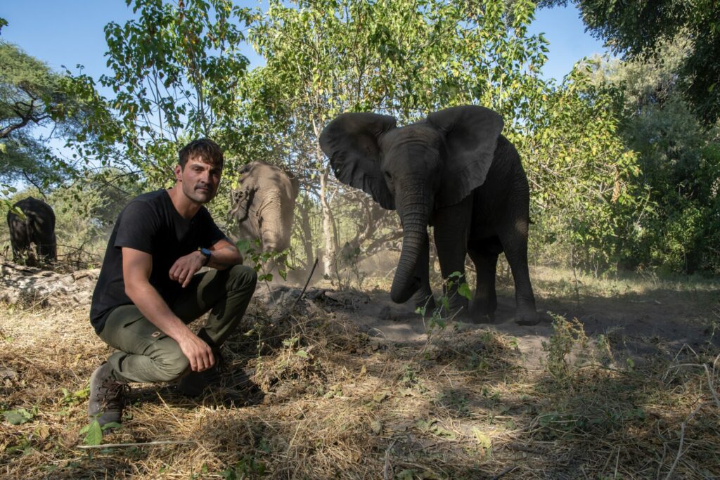 Dan O'Neill leads the wildlife series, Giants