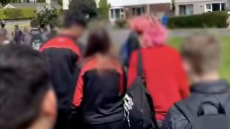 attack on school pupil in Ireland