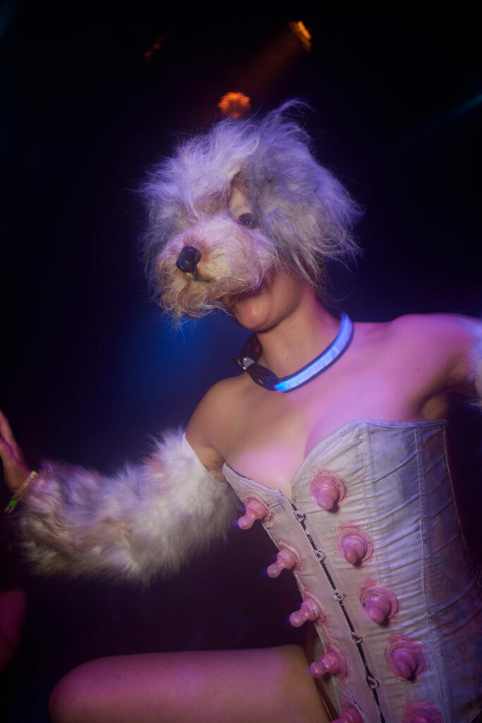 A person wearing a dog mask, furry arm warmers and a corset with lots of nipples inside a club