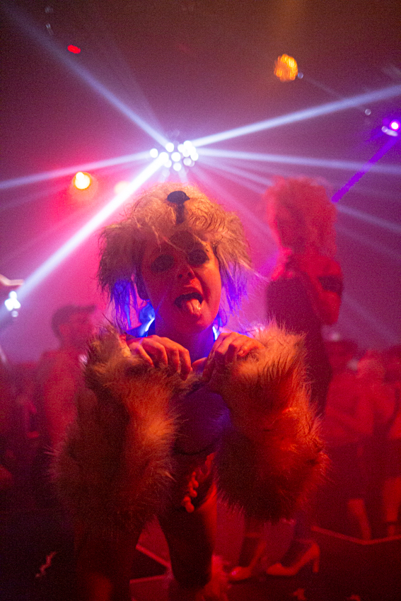 A person wearing a dog mask and furry arm warmers inside a club