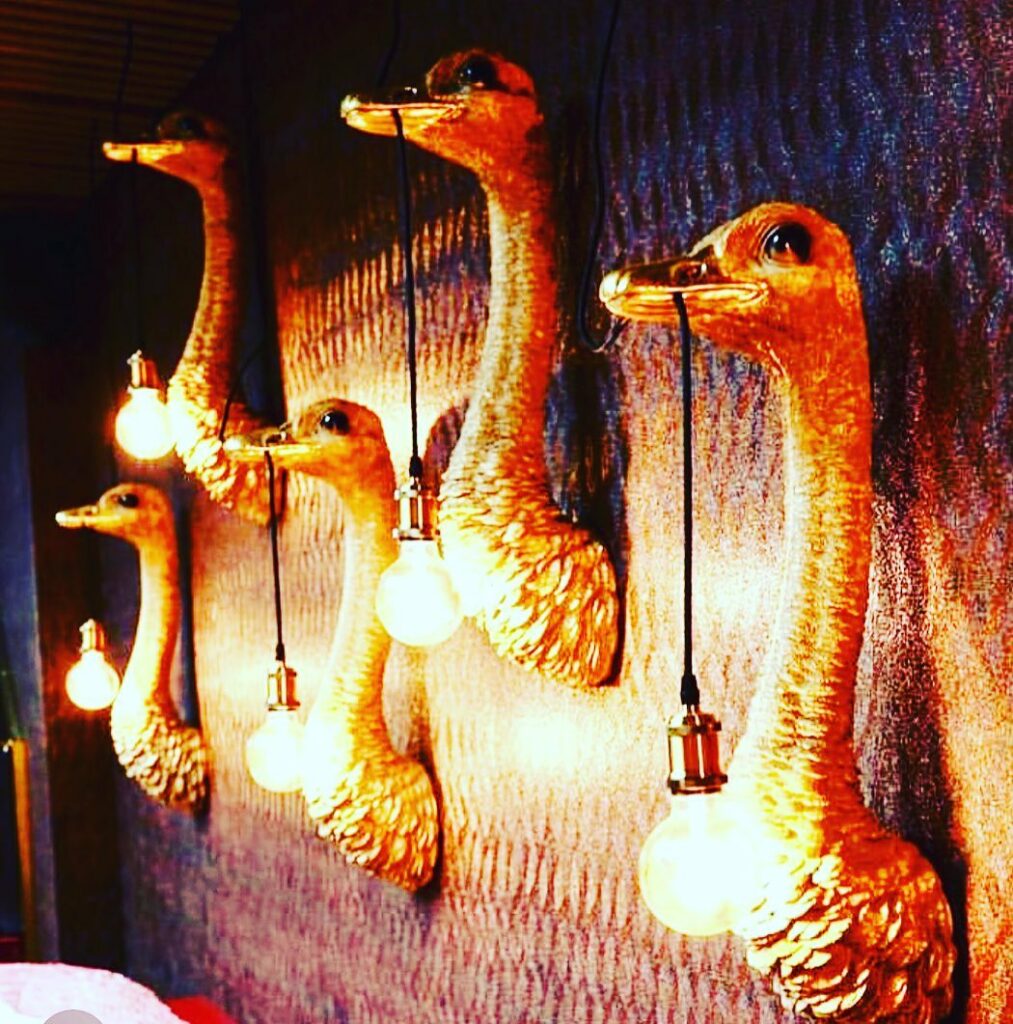 Ostrich head lamps on a wall