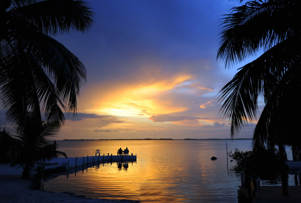 View of open water at sunset with palm trees at either side