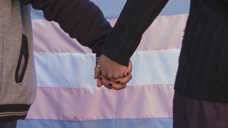 Two hands holding in front of a trans flag - Mermaids