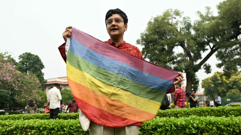 activist stands outside the supreme court in India