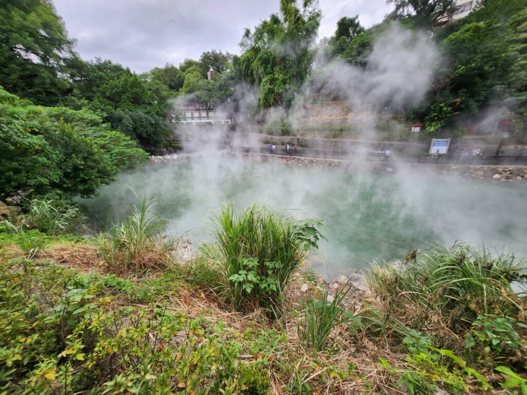 Steam raises from a hot spring surrounded by stones and grass and trees