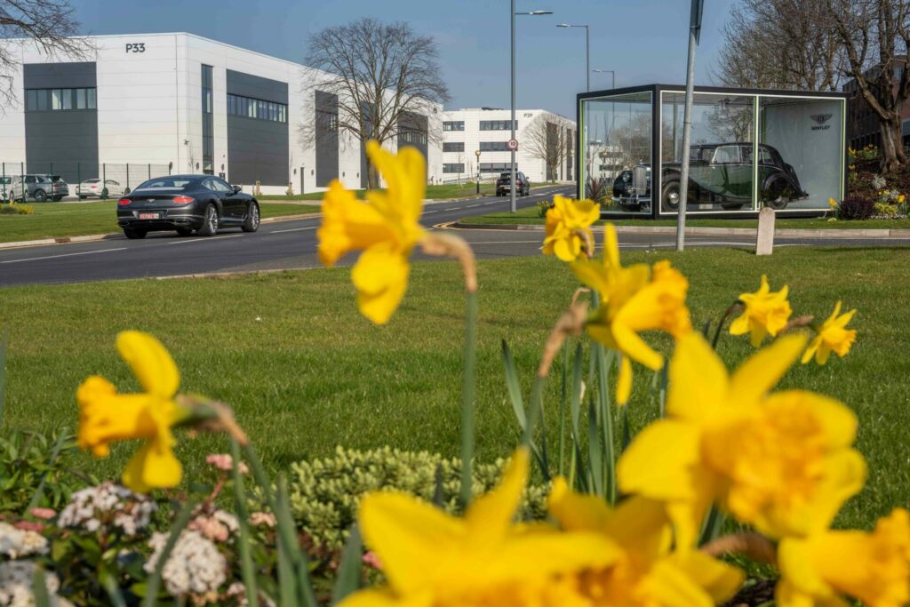 Bentley's campus showing grass with daffodils