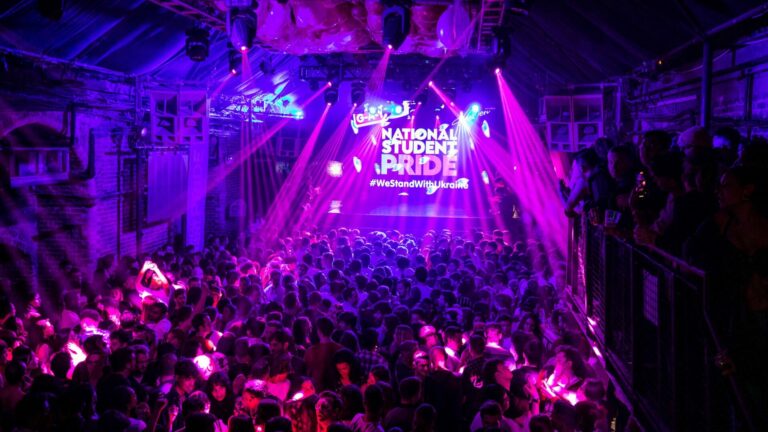 People partying in a nightclub