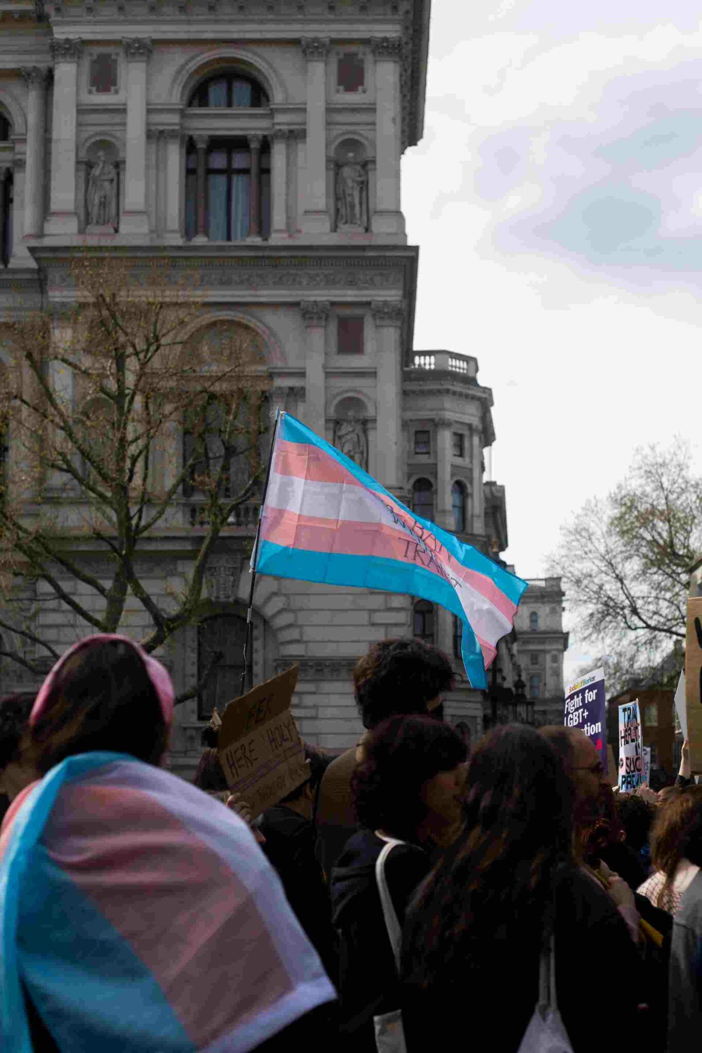 Trans flag