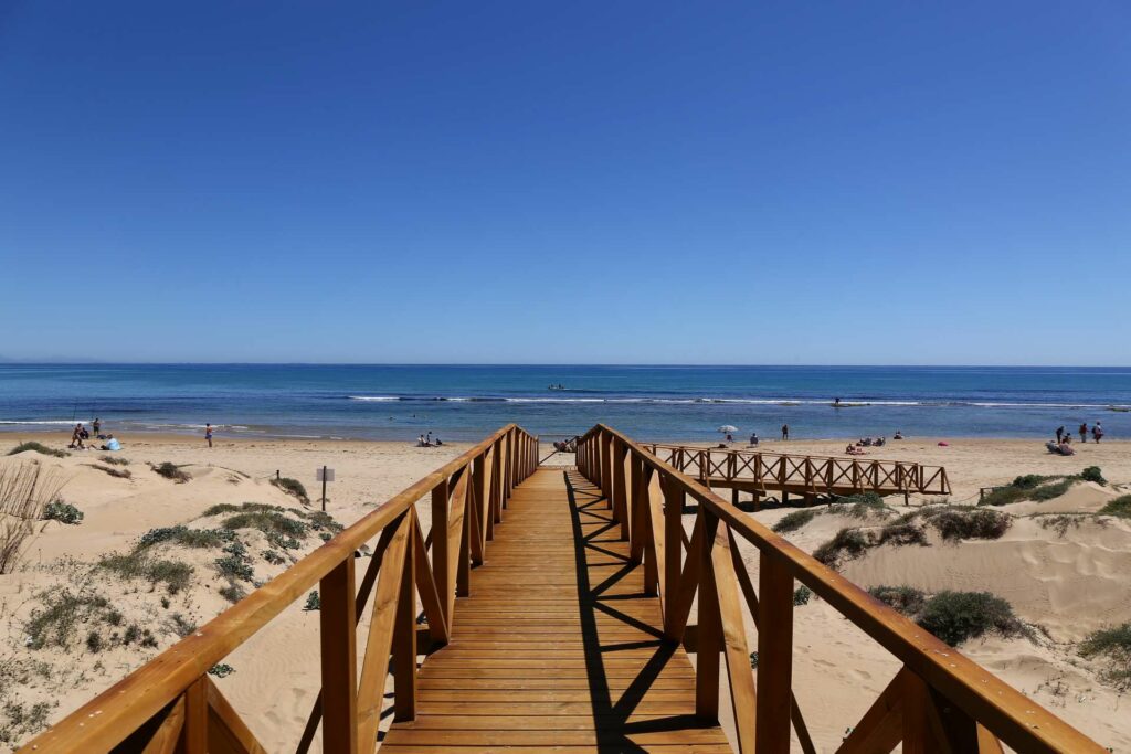 A wooden walkway leads through sand dunes to Playa de la Mata in Torrevieja, with beachgoers and waves visible under a clear blue sky.