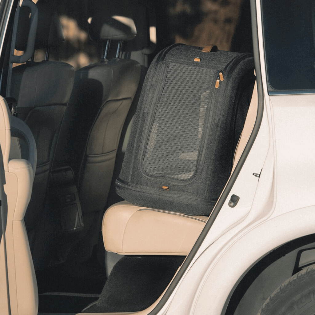A Black dog carrier on the seat of a car