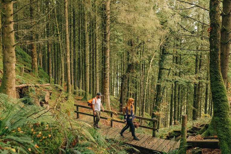 two walkers in a forest