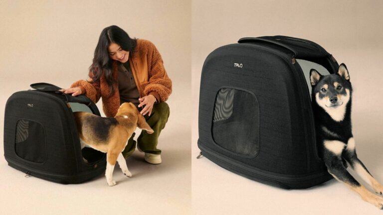 Composite image of a woman petting a dog inside a dog crate and dog sitting inside a dog crate