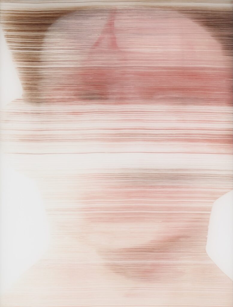 Cage Fighter 2, 2012, Oil on Acrylic Glass, 15 x 11,5 inches(38 x 29 cm) - depicting a scrambled face