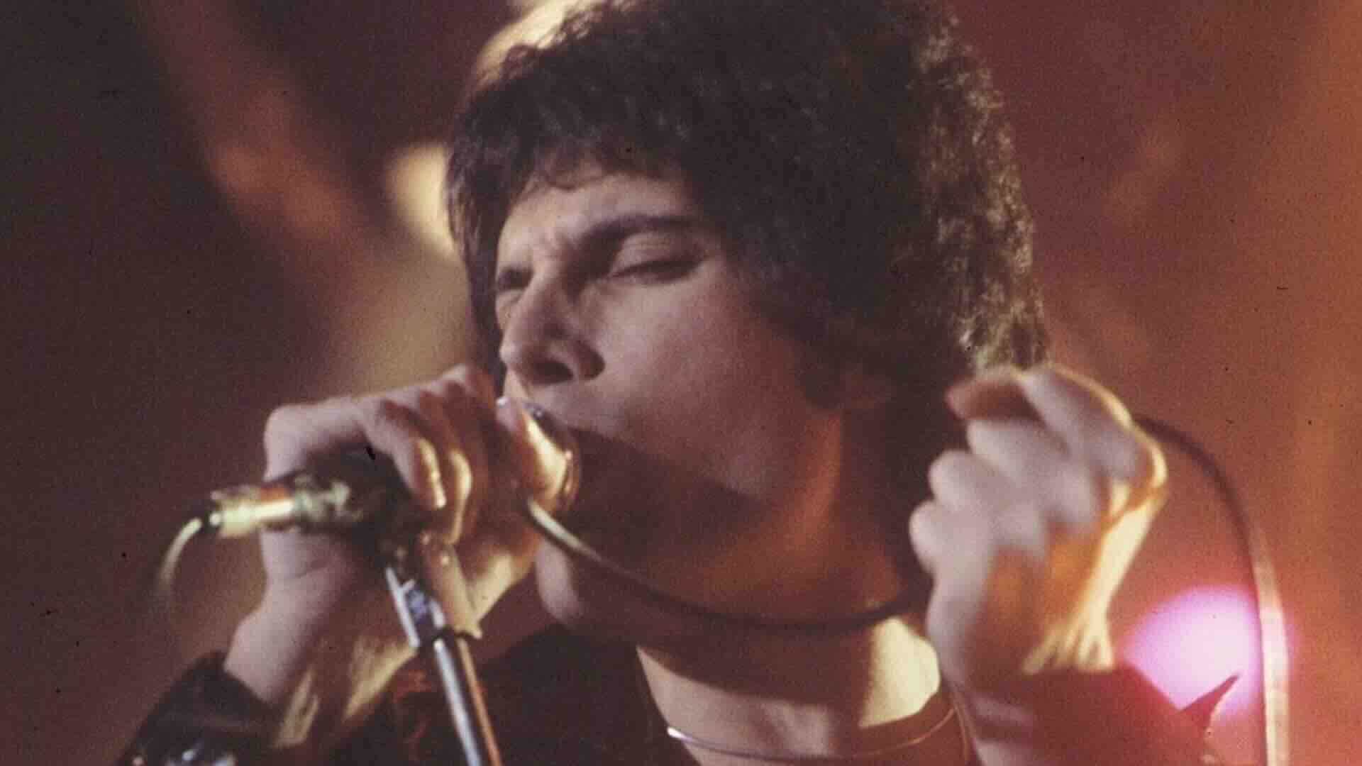 Freddie Mercury seen in concert