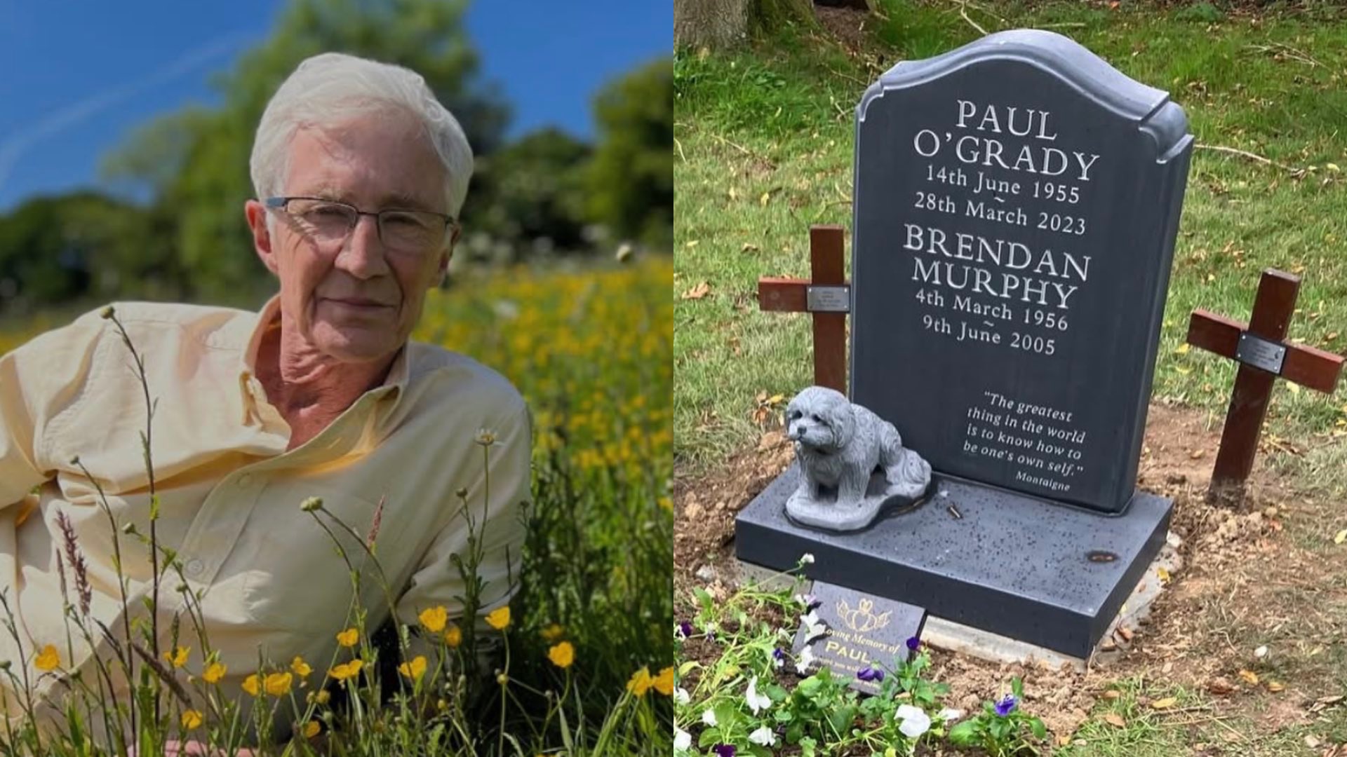 Paul O'Grady' in a field of yellow flowers on the left and his grave on the right