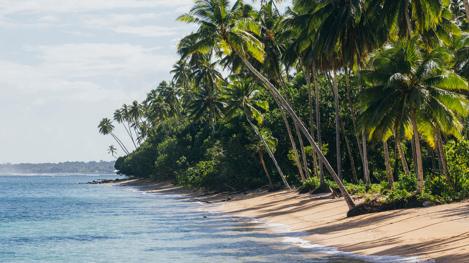 Beach lined with palm trees on Samoa, one of Expedia's 2026 Set Jetting destinations