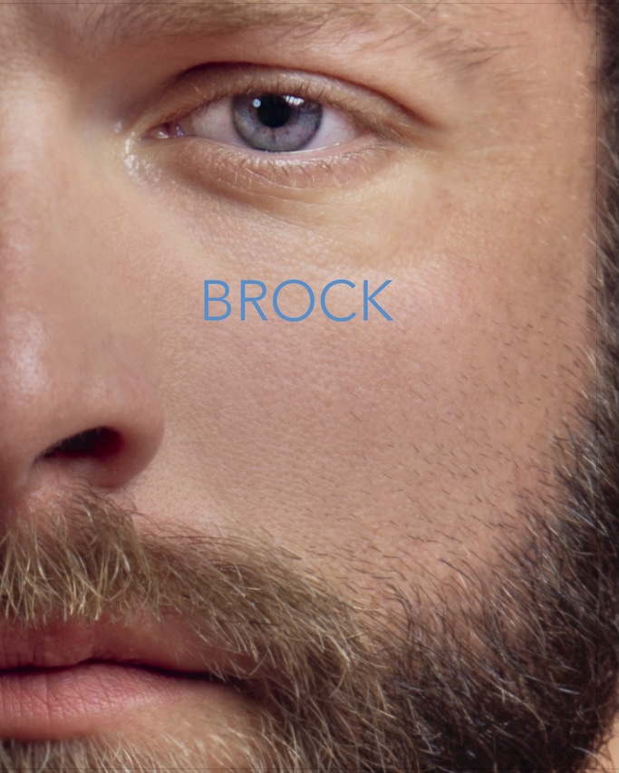 Brock book cover