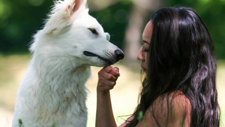 A white dog with long fur being petted by a woman
