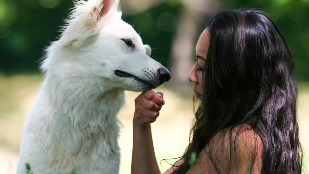 A white dog with long fur being petted by a woman