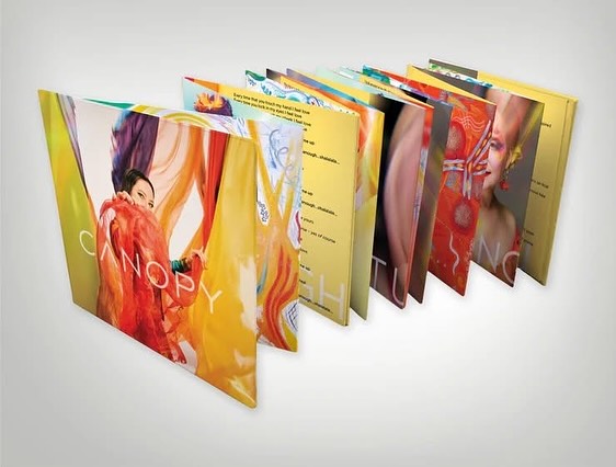 Folded-out booklet of Rachael Sage’s Canopy album showing artwork and lyrics