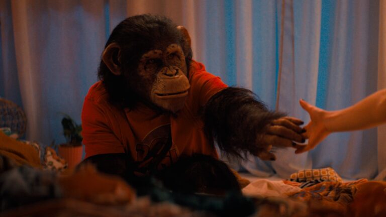 a chimp named Ben in a red t-shirt; a still from Primate