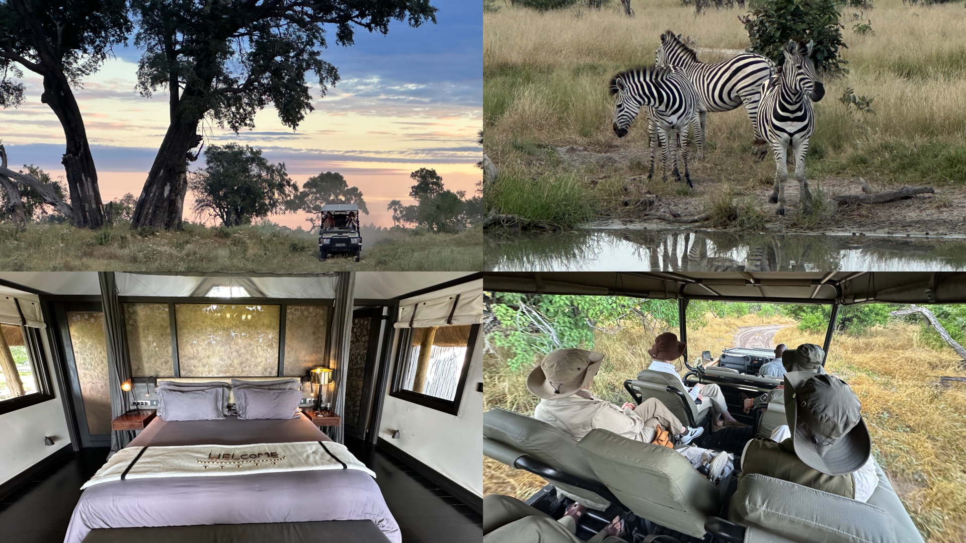 Belmond Savute Elephant Lodge & Belmond Eagle Island Lodge