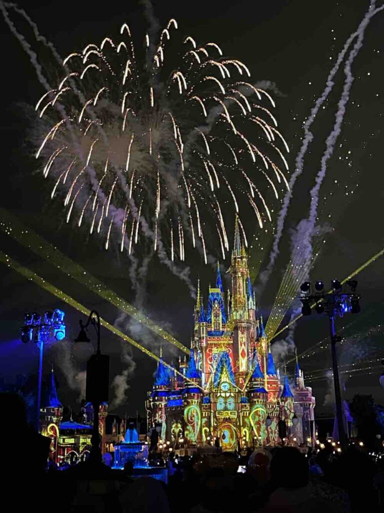 The firework display at the Magic Kingdom