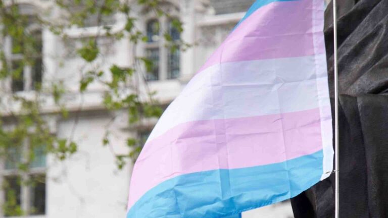 Trans flag