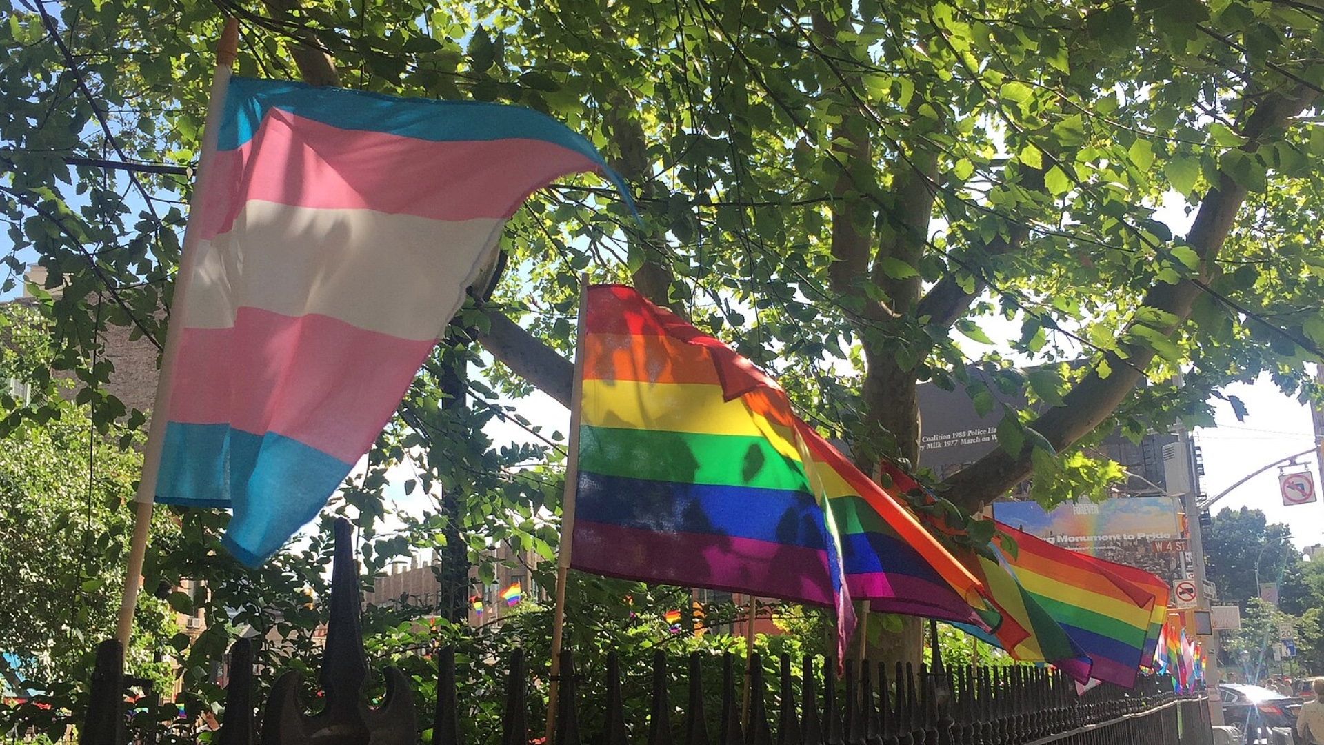 The Flags at the Stonewall National Monument