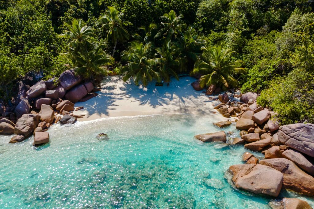 Praslin, overview of a beach and palm trees